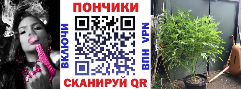 сколько стоит  Кировград  Бошки Шишки планчик 